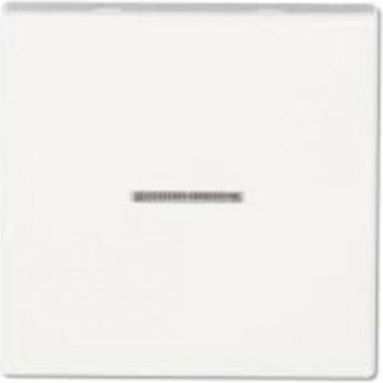 Клавиша для выключателя JUNG с подсветкой