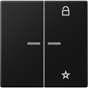 Центральная плата JUNG А-серия (черный)