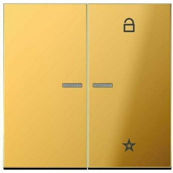 Центральная плата JUNG LS METAL на жалюзийный выключатель (золотой)