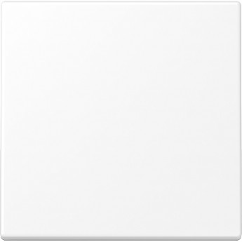 Центральная плата JUNG стандарт из дюропласта (матовый белый)