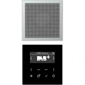 Цифровое электронное радио с дисплеем JUNG А-серия (алюминий)