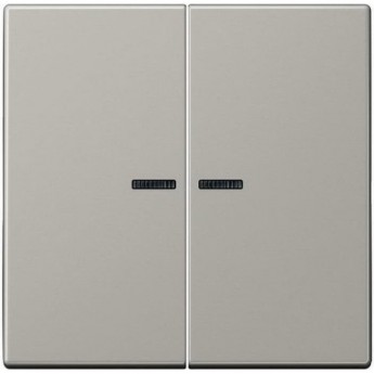 Двойная клавиша JUNG LSMETAL с окошками для балансирных механизмов выключателей (кнопок)