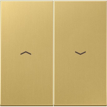 Двойная клавиша JUNG MESSING с символами "стрелки"для балансирных механизмов выключателей , в комплекте с CD95HP металл/латунь