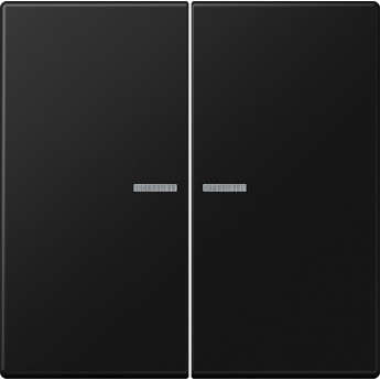 Клавиша 2-ная JUNG LS990 с 2-мя линзами (матовый черный)