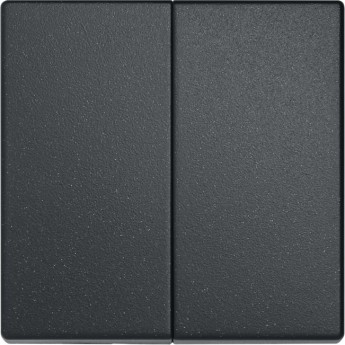 Клавиша для двойного выключателя JUNG ECO PROFI черный матовый Клавиша для двойного выключателя JUNG ECO PROFI черный матовый