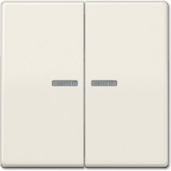 Клавиша для сдвоенного выключателя JUNG с окошком для подсветки AS591-5KO5BF