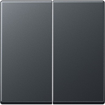 Клавиша двойная JUNG А500 антрацит матовый