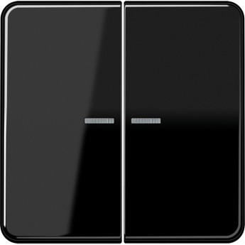 Клавиша двойная JUNG CD 500 с 2-мя линзами (черный)