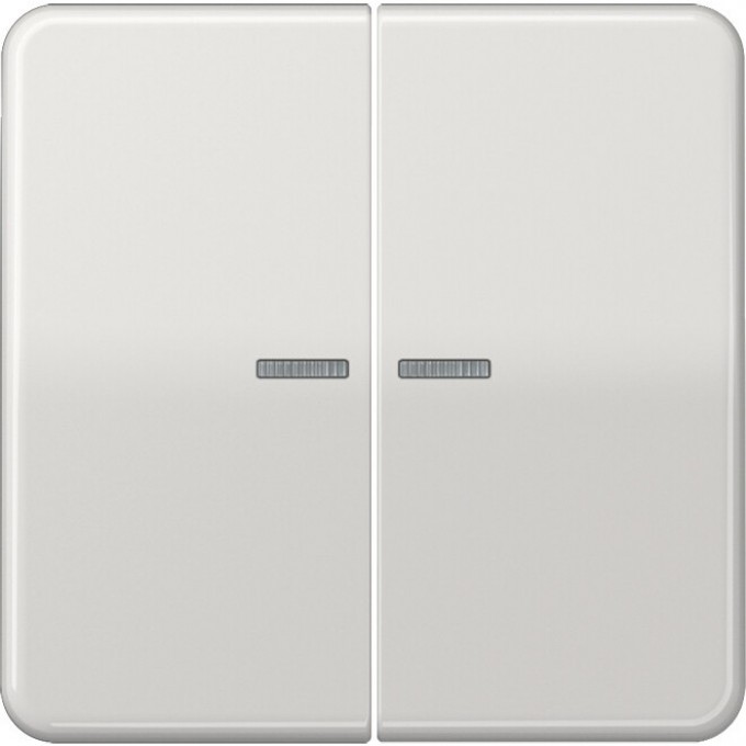 Клавиша двойная JUNG CD 500 с 2-мя линзами (светло-серый) CD595KO5LG