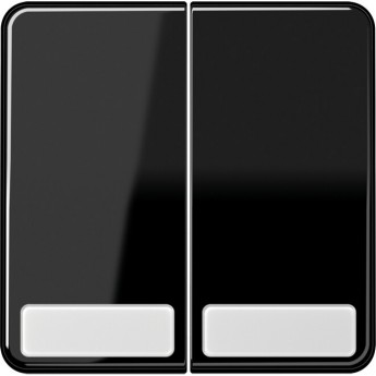 Клавиша двойная JUNG CD 500 с 2-мя полями для надписи (черный)