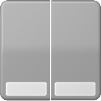 Клавиша двойная JUNG CD 500 с 2-мя полями для надписи (серый)