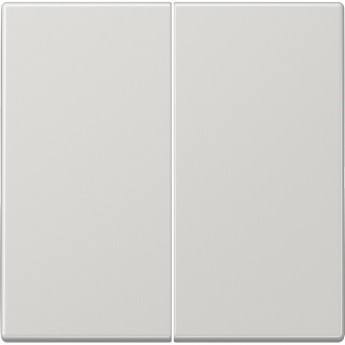 Клавиша двойная JUNG LS 990 светло-серый