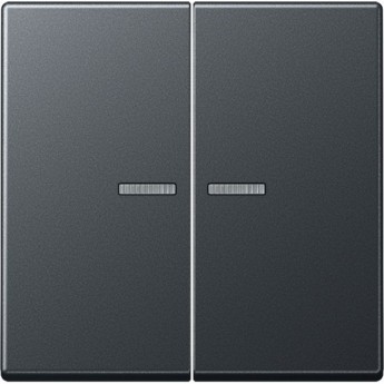Клавиша двойная с линзами JUNG А500 антрацит матовый
