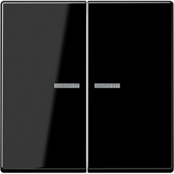 Клавиша двойная с линзами JUNG А500 черный