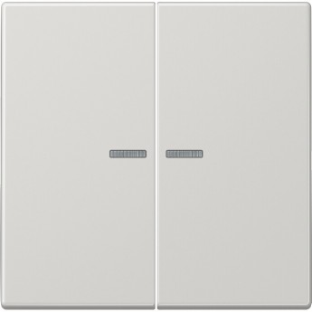 Клавиша двойная с линзами JUNG LS 990 светло-серый