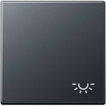 Клавиша JUNG А500 с символом «освещение» (антрацит матовый)