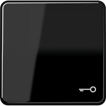 Клавиша JUNG А500 с символом "Ключ" (черный)