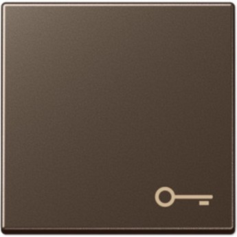 Клавиша JUNG А500 с символом "Ключ" (мокко)