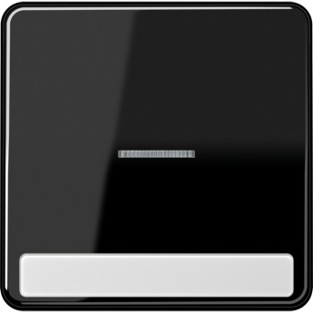 Клавиша JUNG CD 500 с окошком и полем для надписи (черный)