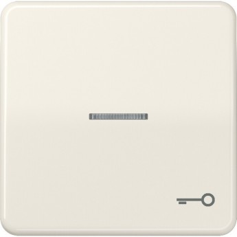 Клавиша JUNG CD 500 с окошком и символом "ключ" (слоновая кость)