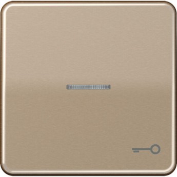 Клавиша JUNG CD 500 с окошком и символом "ключ" (золотая бронза)