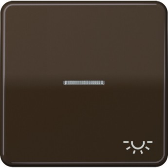 Клавиша JUNG CD 500 с окошком и символом "освещение" (коричневый) Клавиша JUNG CD 500 с окошком и символом "освещение" (коричневый)