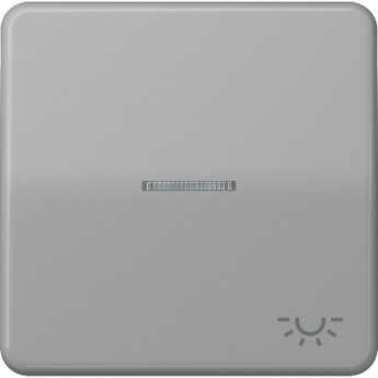 Клавиша JUNG CD 500 с окошком и символом "освещение" (серый) Клавиша JUNG CD 500 с окошком и символом "освещение" (серый)