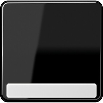 Клавиша JUNG CD 500 с полем для надписи (черный) Клавиша JUNG CD 500 с полем для надписи (черный)