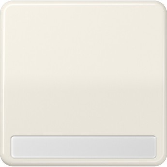 Клавиша JUNG CD 500 с полем для надписи (слоновая кость) Клавиша JUNG CD 500 с полем для надписи (слоновая кость)