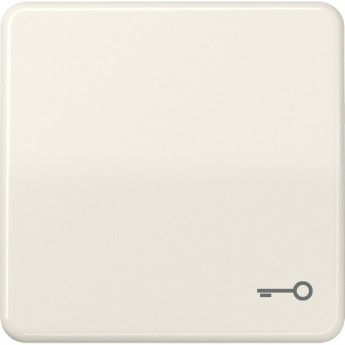 Клавиша JUNG CD 500 с символом "ключ" (бежевый) Клавиша JUNG CD 500 с символом "ключ" (бежевый)