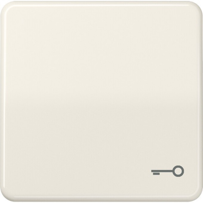 Клавиша JUNG CD 500 с символом "ключ" (бежевый) CD590T