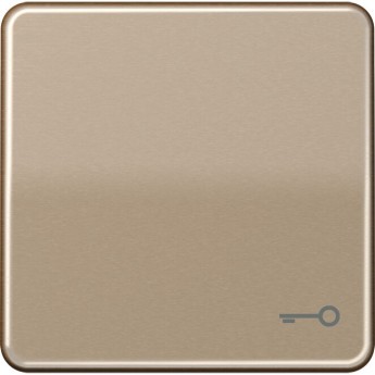 Клавиша JUNG CD 500 с символом "Ключ" (бронзовый) Клавиша JUNG CD 500 с символом "Ключ" (бронзовый)