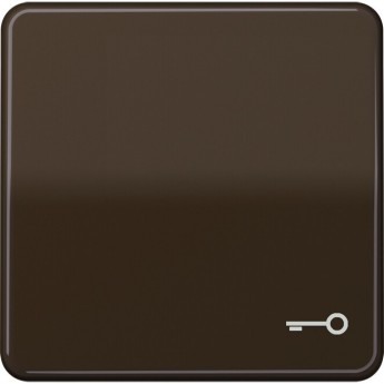 Клавиша JUNG CD 500 с символом "Ключ" (коричневый) Клавиша JUNG CD 500 с символом "Ключ" (коричневый)