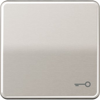 Клавиша JUNG CD 500 с символом "Ключ" (платина) Клавиша JUNG CD 500 с символом "Ключ" (платина)