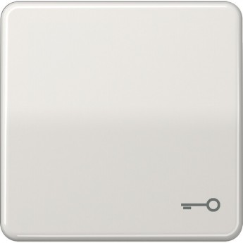 Клавиша JUNG CD 500 с символом "Ключ" (светло-серый) Клавиша JUNG CD 500 с символом "Ключ" (светло-серый)