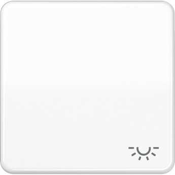 Клавиша JUNG CD 500 с символом "Свет" (белый) Клавиша JUNG CD 500 с символом "Свет" (белый)