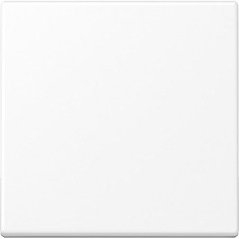 Клавиша JUNG для балансирных выключателей, дюропласт, белый матовый