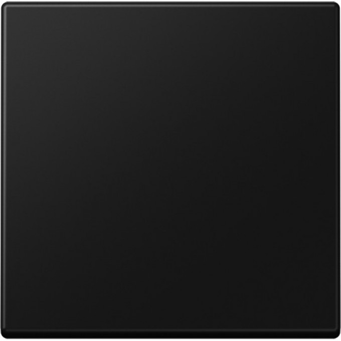 Клавиша JUNG для балансирных выключателей, дюропласт, черный матовый A590SWM