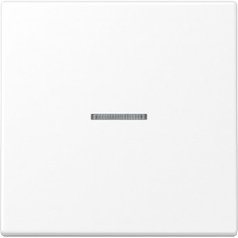 Клавиша JUNG для балансирных выключателей с окошком, дюропласт, белый матовый
