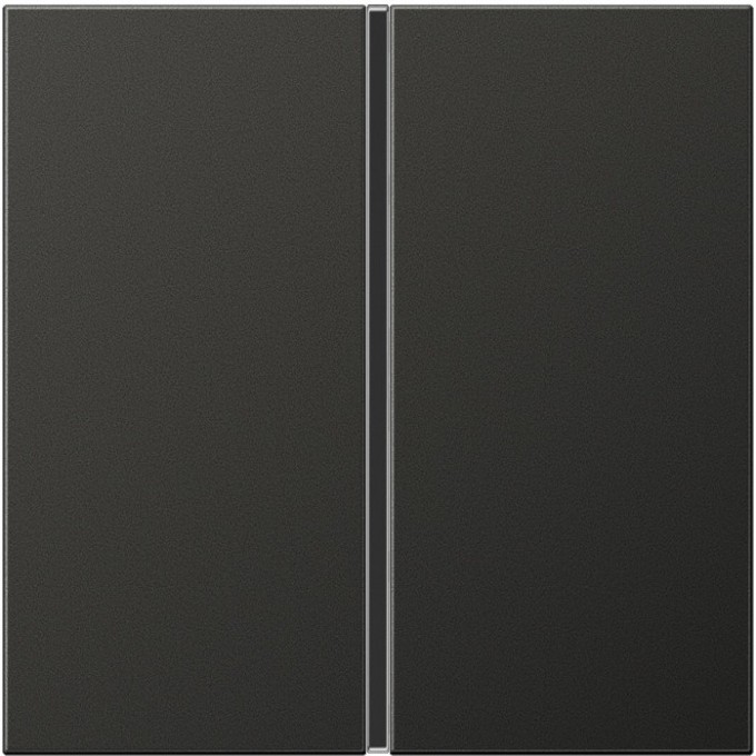 Клавиша JUNG для выключателя 2 группы в сборе AL2402TSAAN