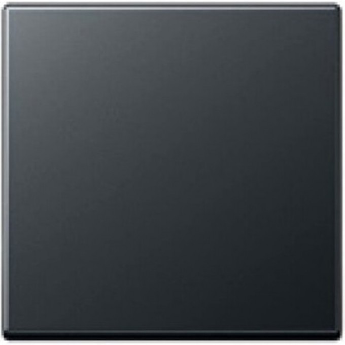 Клавиша JUNG ECO PROFI антрацит EP490AN