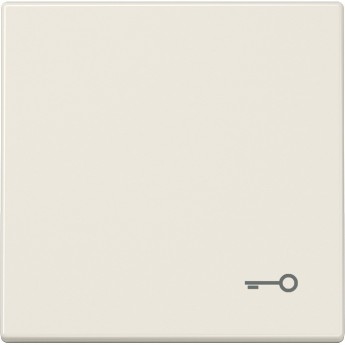 Клавиша JUNG LS 990 с символом "Ключ" (бежевый)