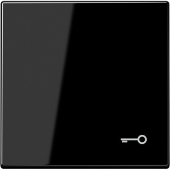 Клавиша JUNG LS 990 с символом "Ключ" (черный)