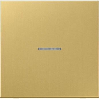 Клавиша JUNG ME2990KO5C с линзой