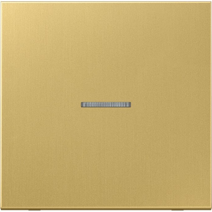 Клавиша JUNG с линзой ME2990KO5C