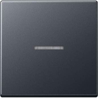 Клавиша с линзой JUNG А500 антрацит матовый