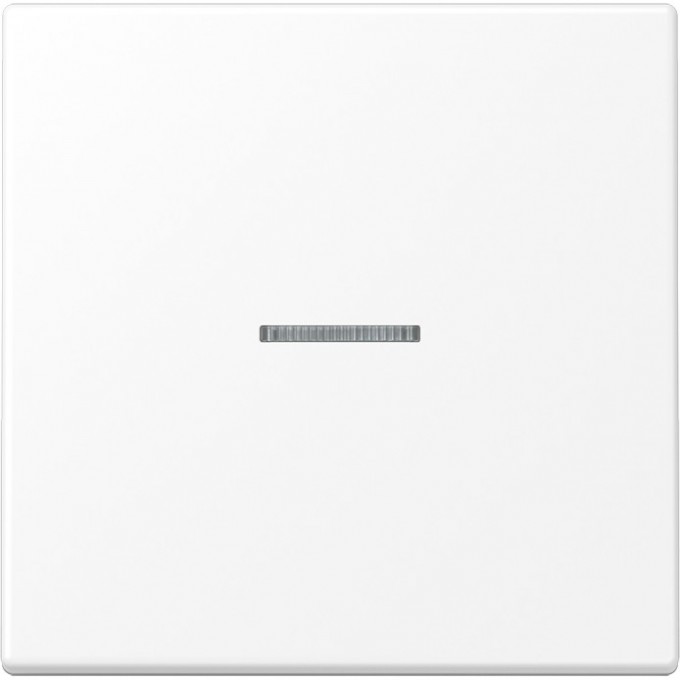 Клавиша с линзой JUNG А500 белый A590KO5WW