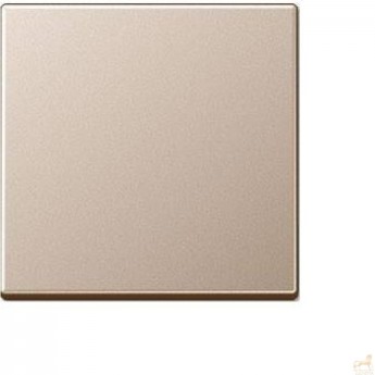 Клавиша с линзой JUNG А500 шампань