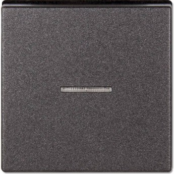 Клавиша с линзой JUNG ECO PROFI антрацит