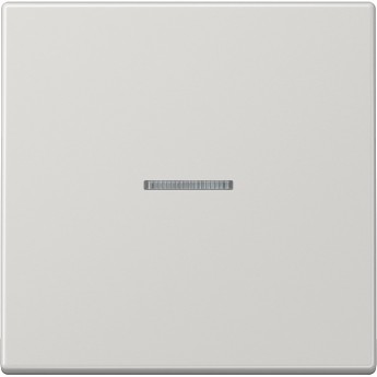 Клавиша с линзой JUNG LS 990 светло-серый